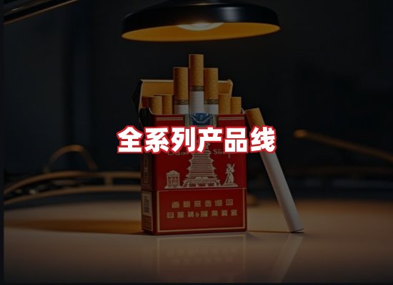 专业团队